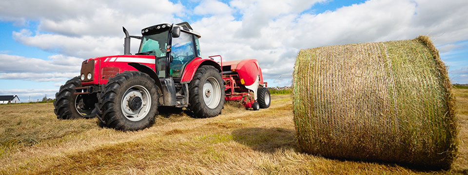 Landwirtschaft