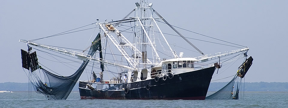 Pêche professionnelle